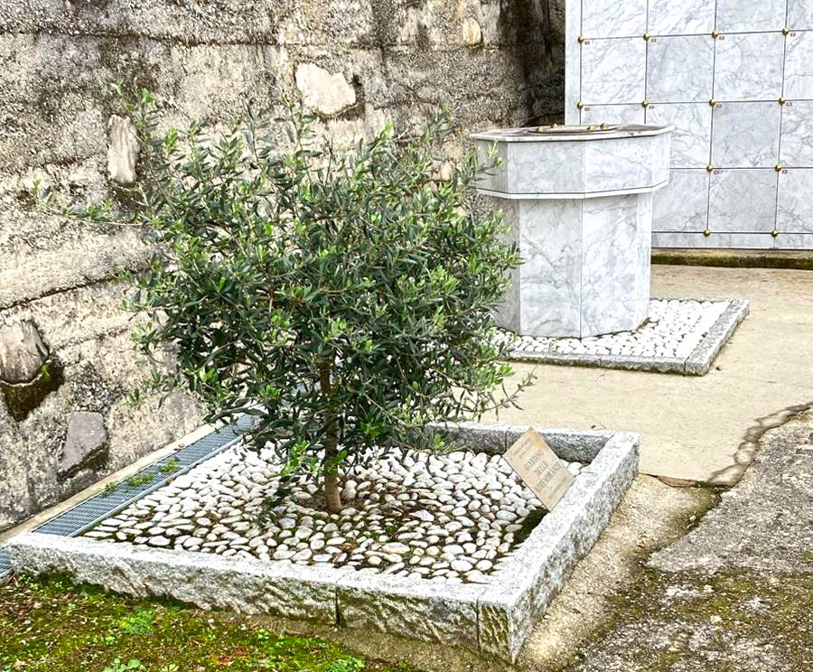 Cinerari Comuni Prefabbricati per i Comuni